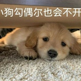 没有困难的工作