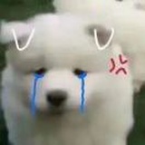 堕落街炸鸡（可