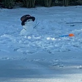 风雪