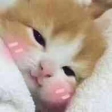 生闷气一流选手