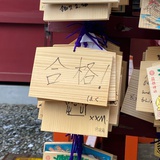 美丽不能丢
