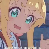 虎纹鲨