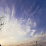 清晗游露