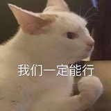 一尾鱿鱼～