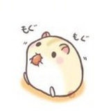 陌陌陌生人.