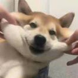 言生