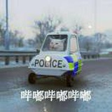 凯