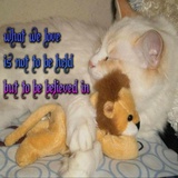 xhdbdj