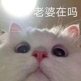 是哎呀呀