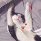 妖精 จุ๊บ
