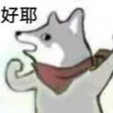 坏椰