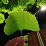 预感是真