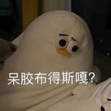 今天不摸鱼