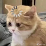 阿雯
