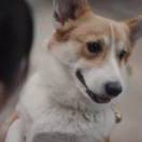 合理理理