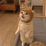 钟汉良