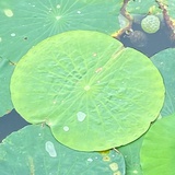 好