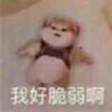 豆友234281989