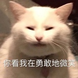 就这？？