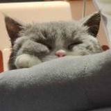 一般社员a