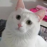 Adela优雅的变老