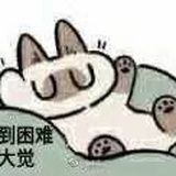 甘修真情侣