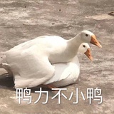 去冰少糖加珍珠