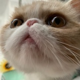 洁