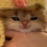 众妙之门