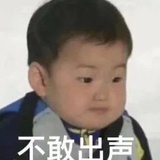 词不达意.