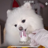 水佶