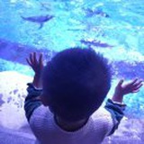 小鱼儿🐠