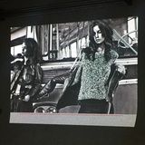 看展小白