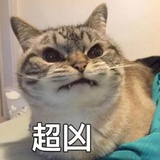 超凶的夏天