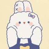 小浣熊