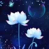 蒹葭秋水