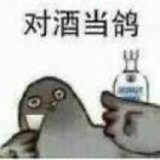 当代鸽王