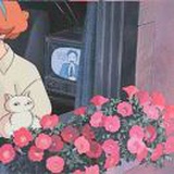 四点半去哪儿了