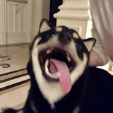 瓜瓜