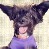 我的名字超好记