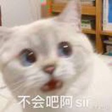 拉拉拉力