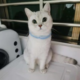 向阳而生