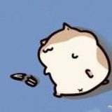 晓