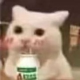 🍼