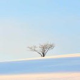 one-more-try