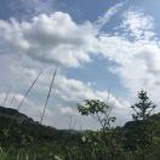 再会李逍遥