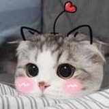 视觉设计