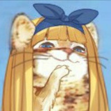 奥地利小橘猫