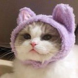 画船听雨眠