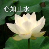 我便是唯一的光